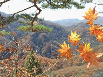 探索未知领域，最新CL地址在2015年的重大发现之旅